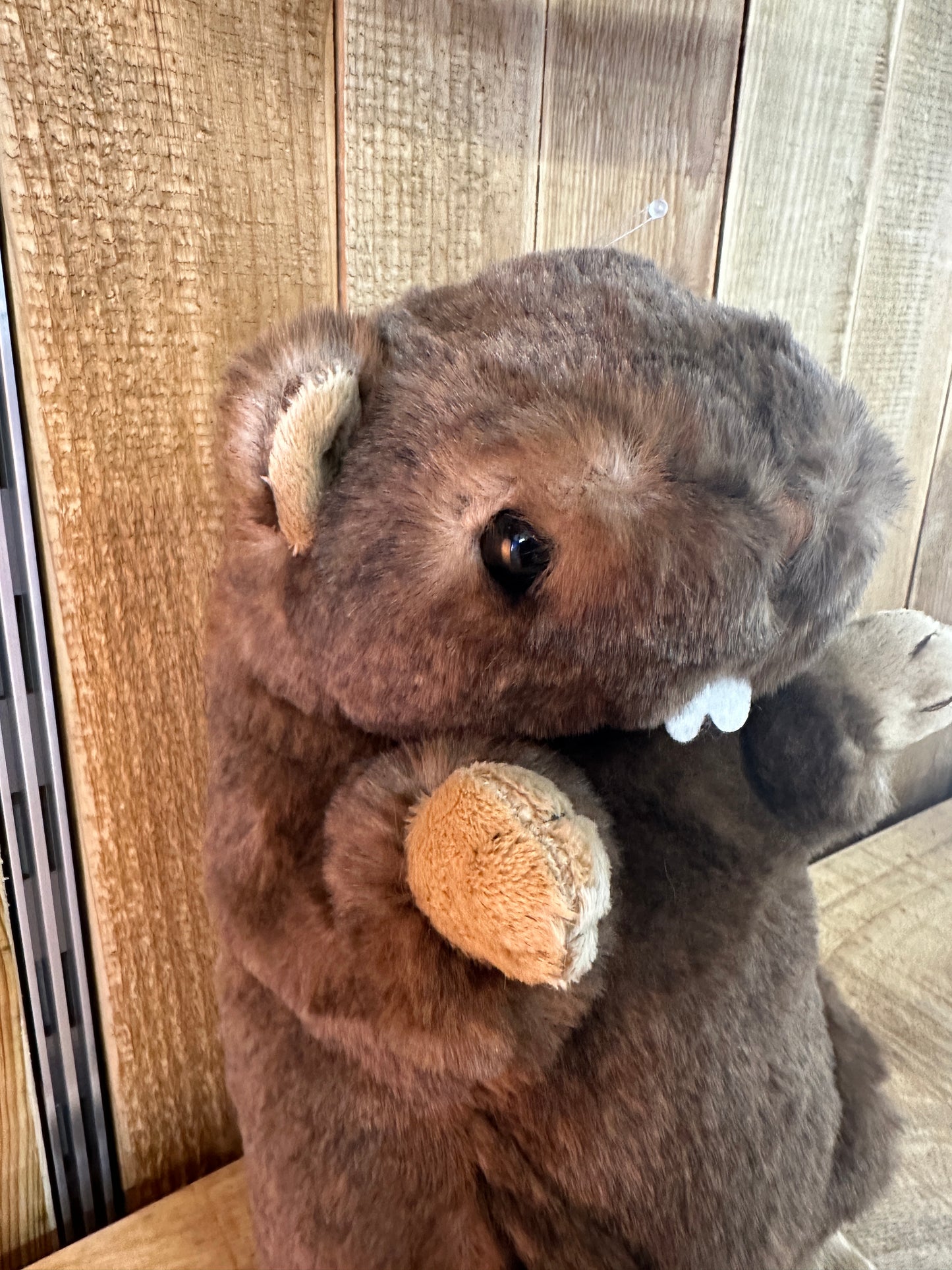 Petite marmotte Sweet Jojo et Titi