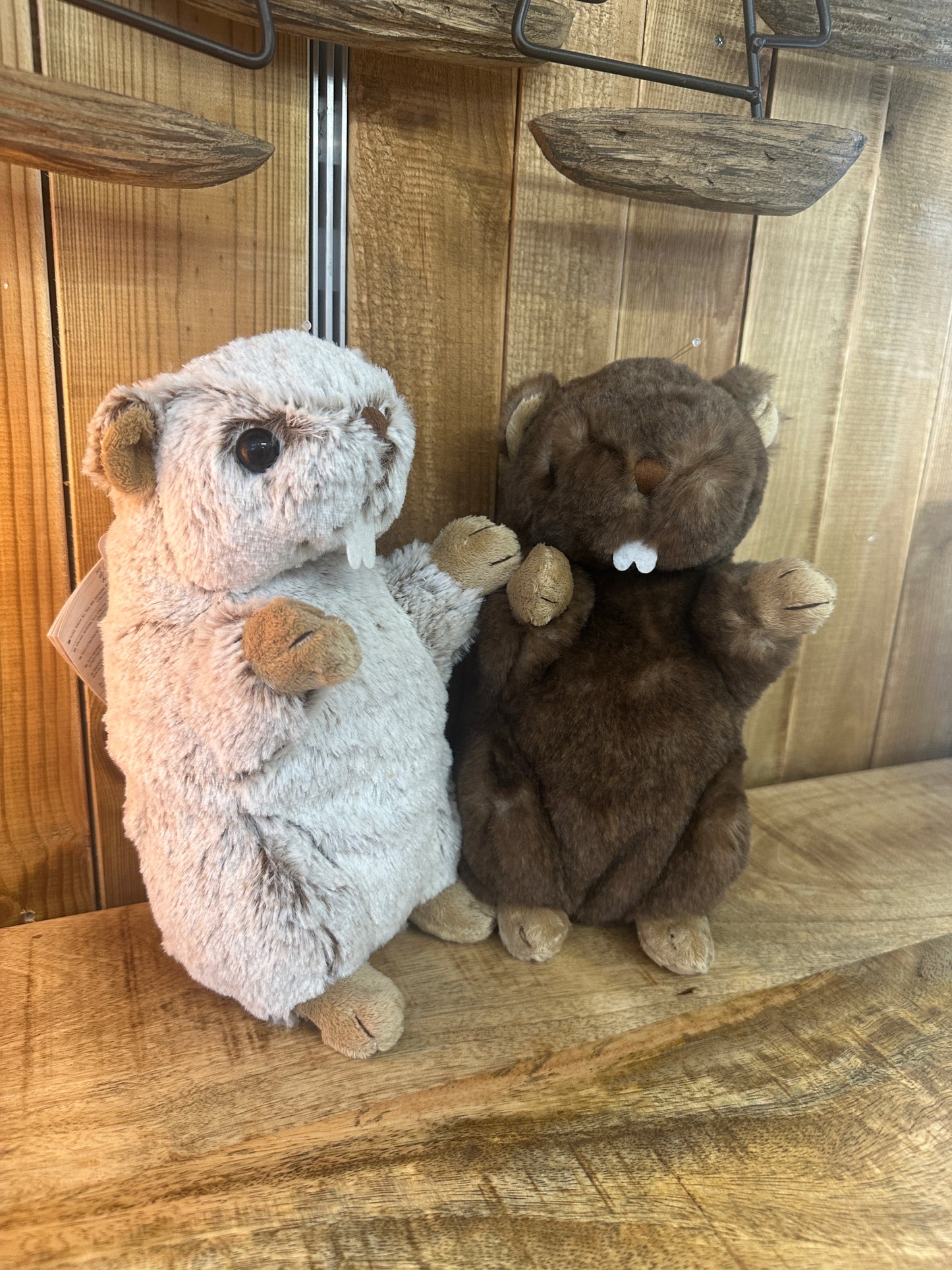 Petite marmotte Sweet Jojo et Titi