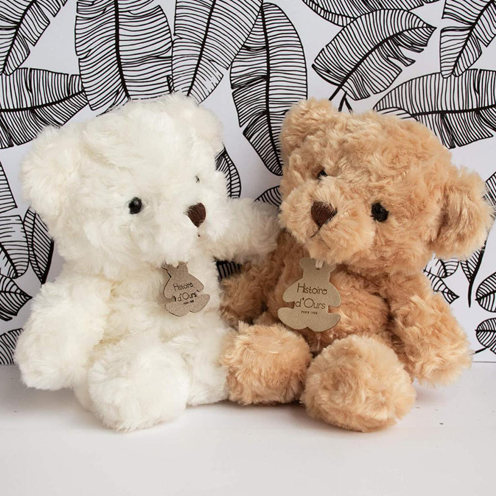 Ours Calin Reves D Enfance
