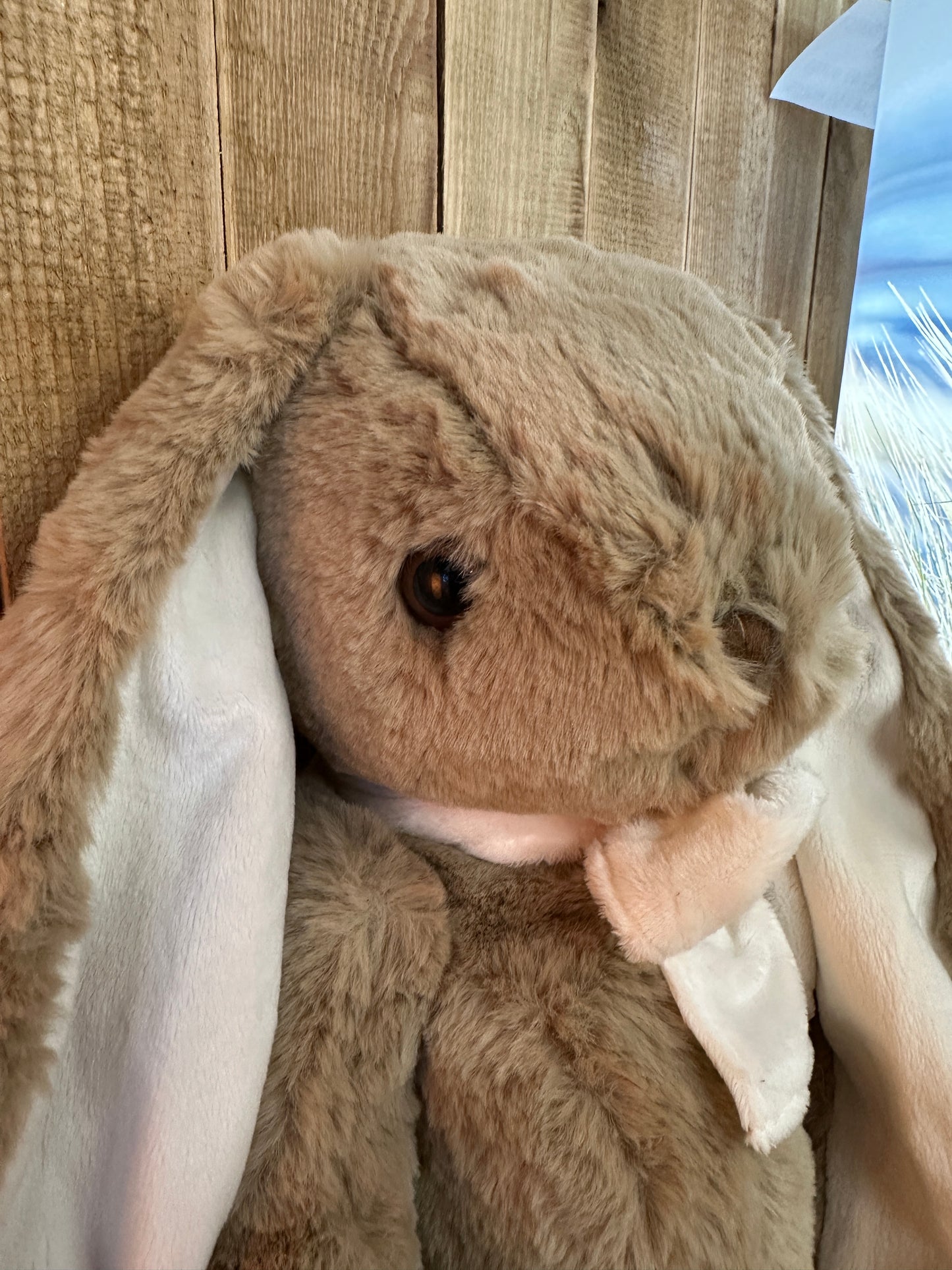Patrick Le lapin