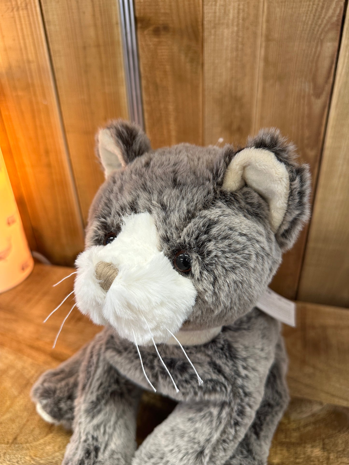 Joli Chat Teofil