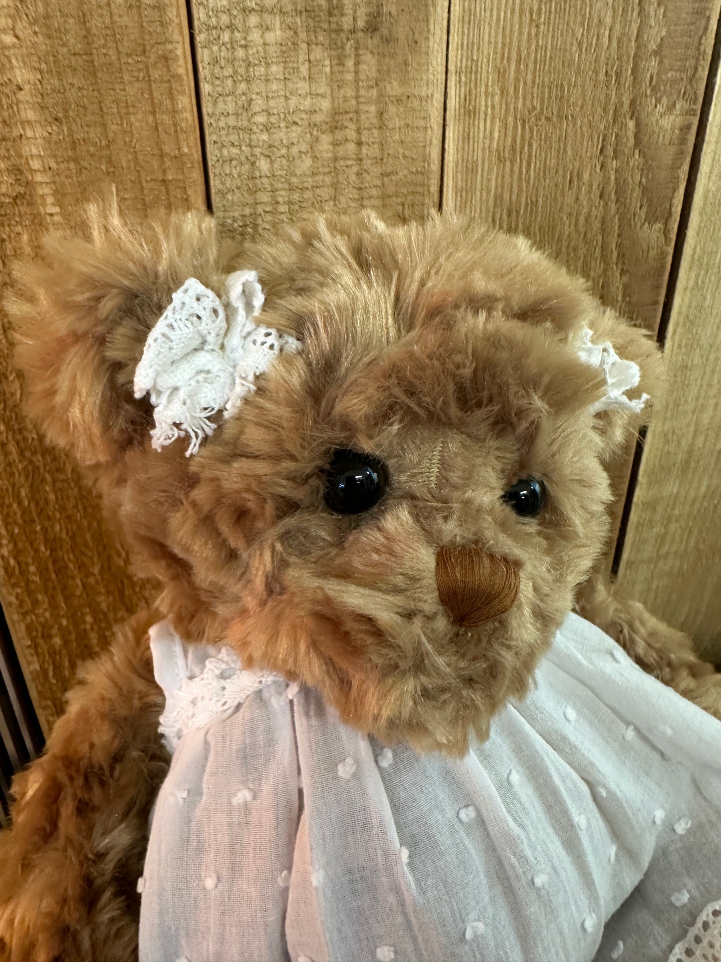 Ours brun Hedvig 2019