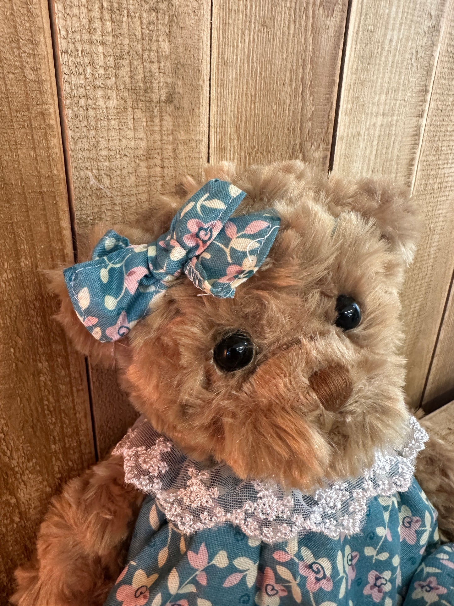 Ours brun Hedvig 2019
