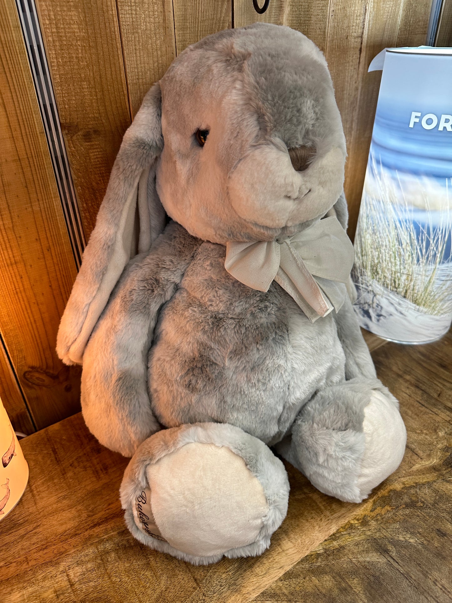 Lapin Géant The Great Bouncy Bunny