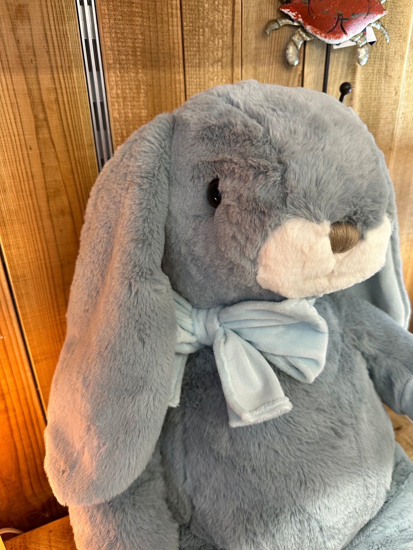 Lapin Géant The Great Cookie