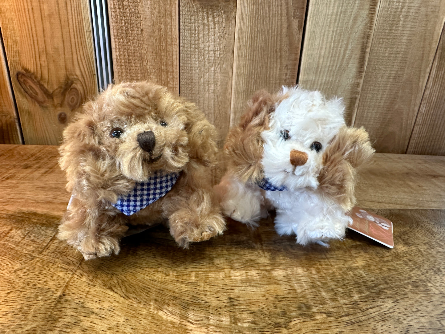Porte-Clés chien Kharma et Buddylina