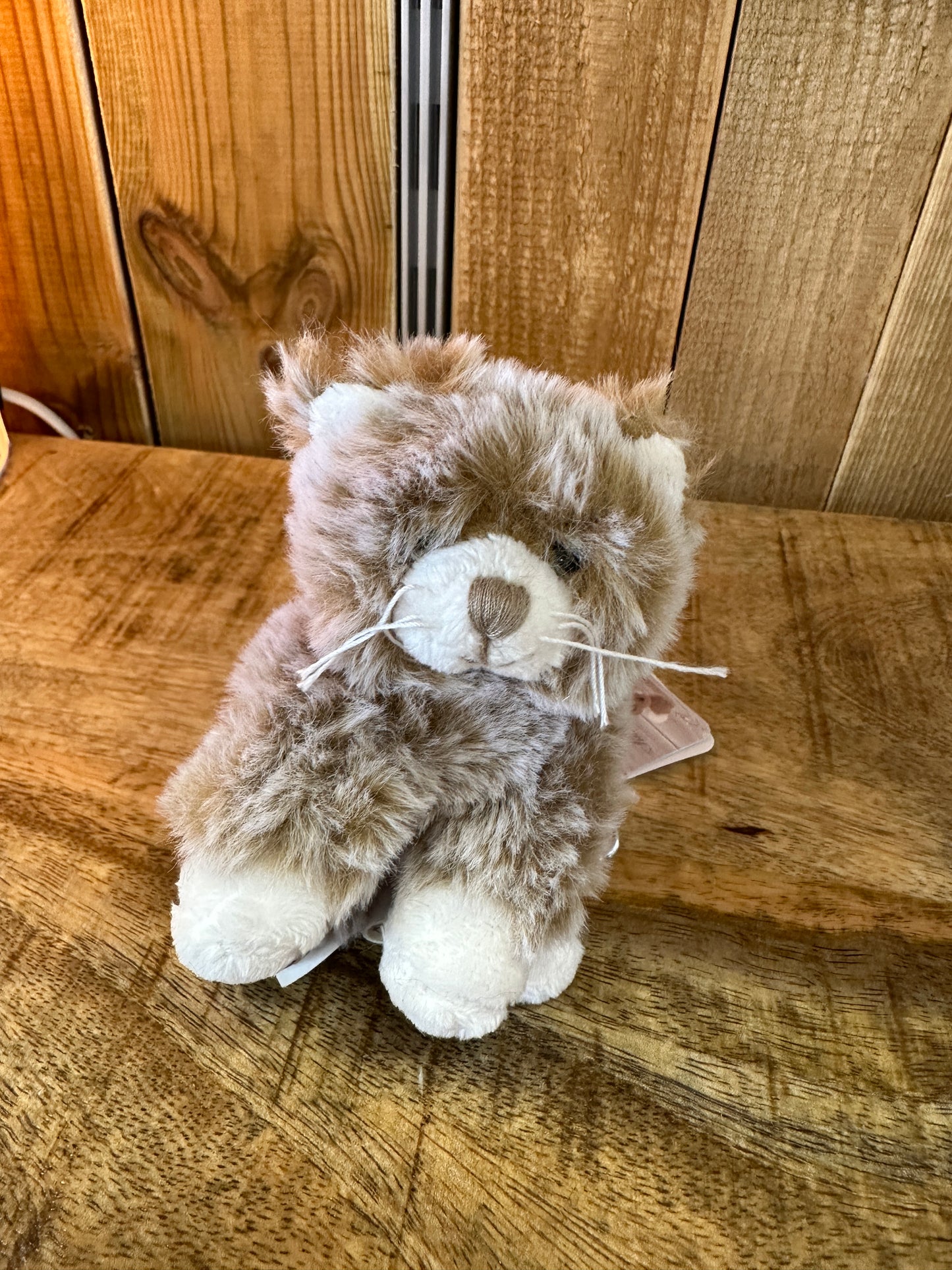 Porte-Clés chat Kitty et Timothy