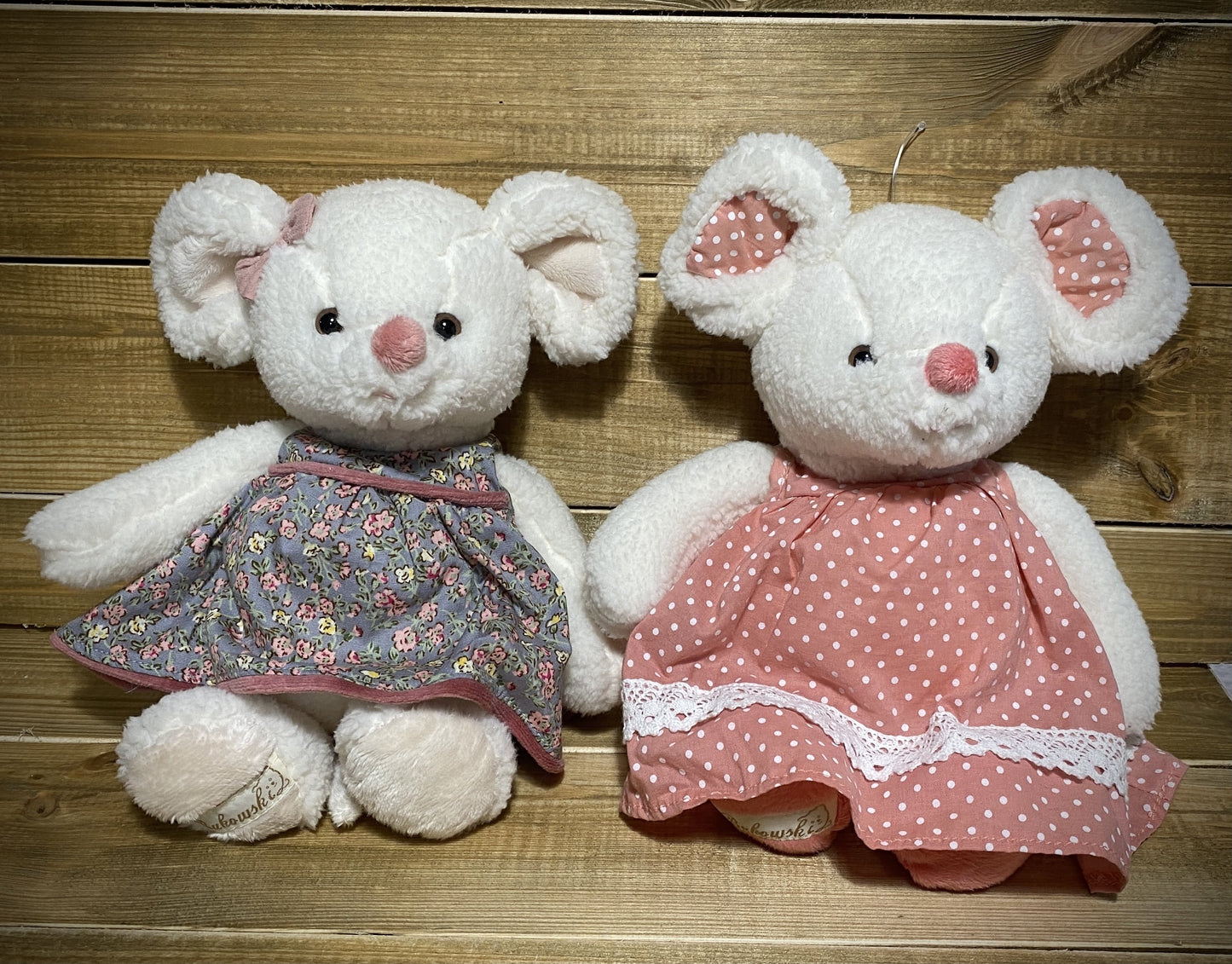 Musette et Mimi