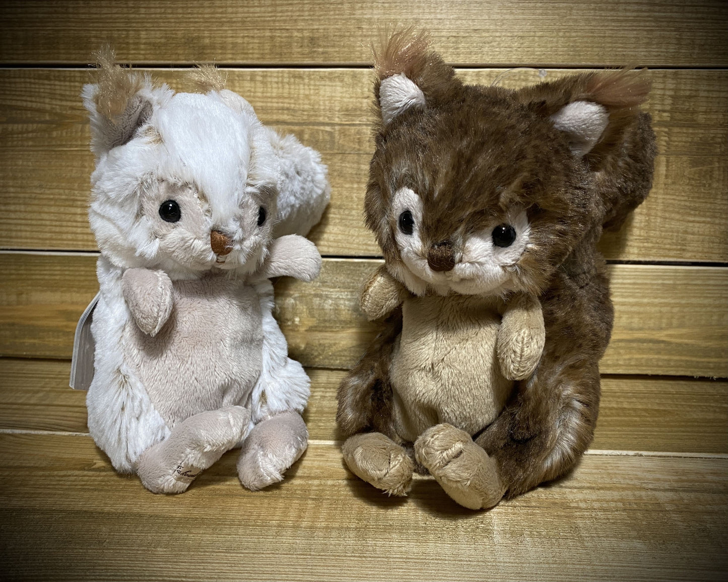 Brunis et Blixten