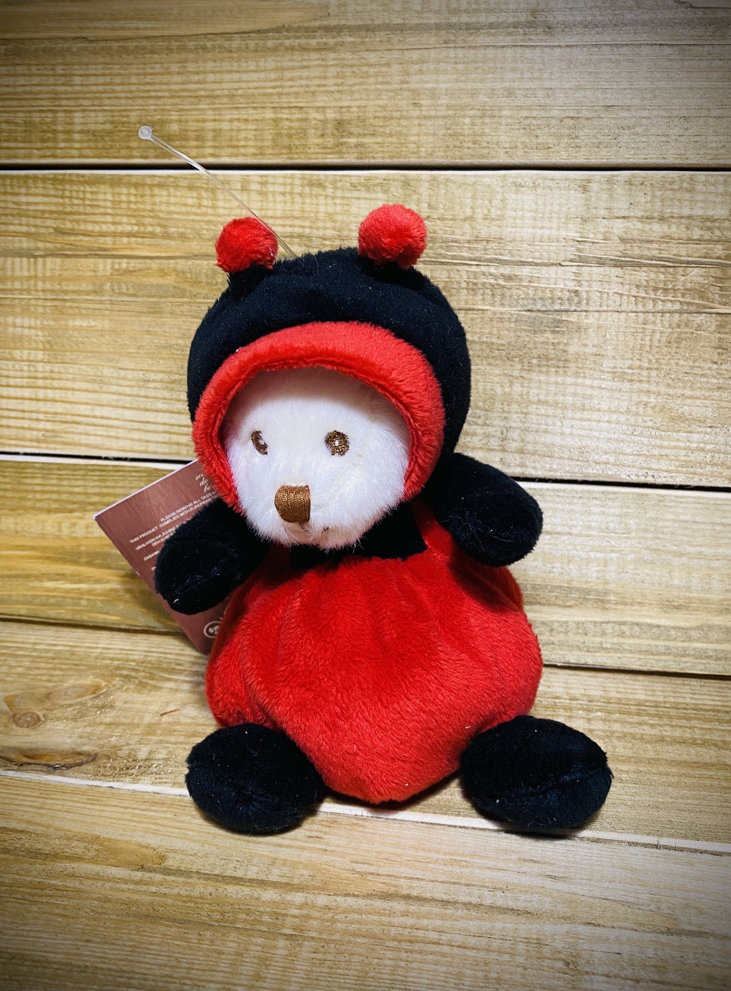 Ziggy coccinelle