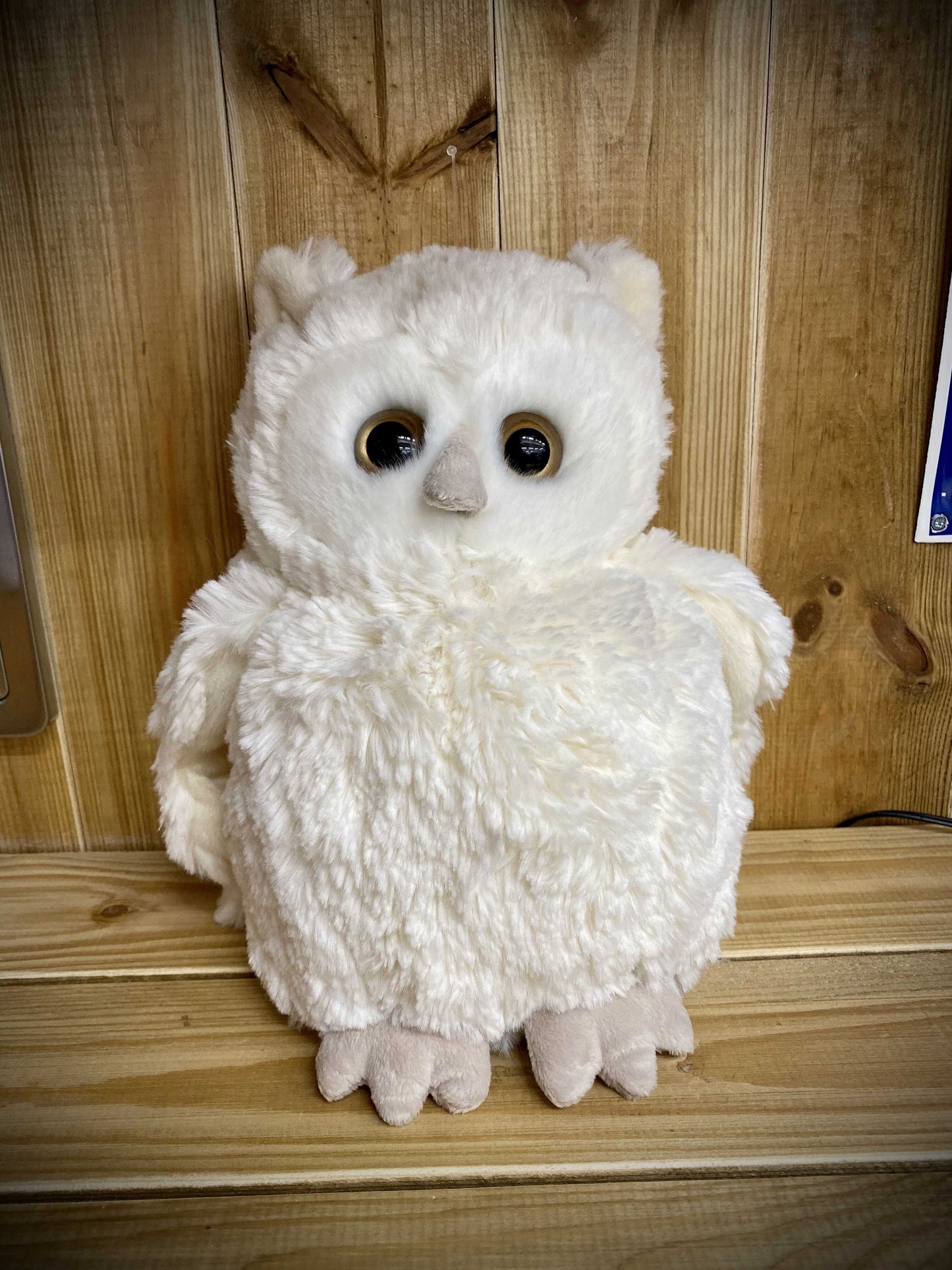 Hibou Blanca