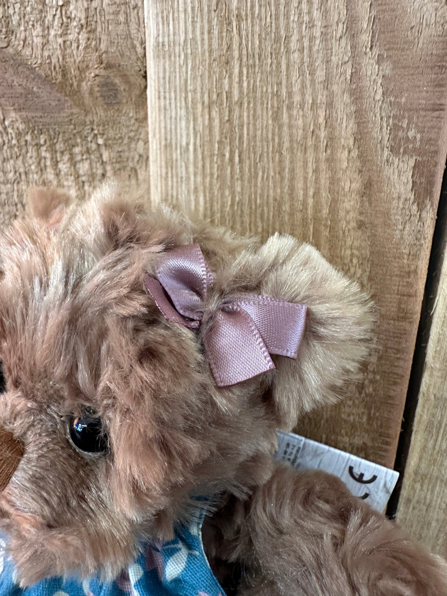 Little hedvig