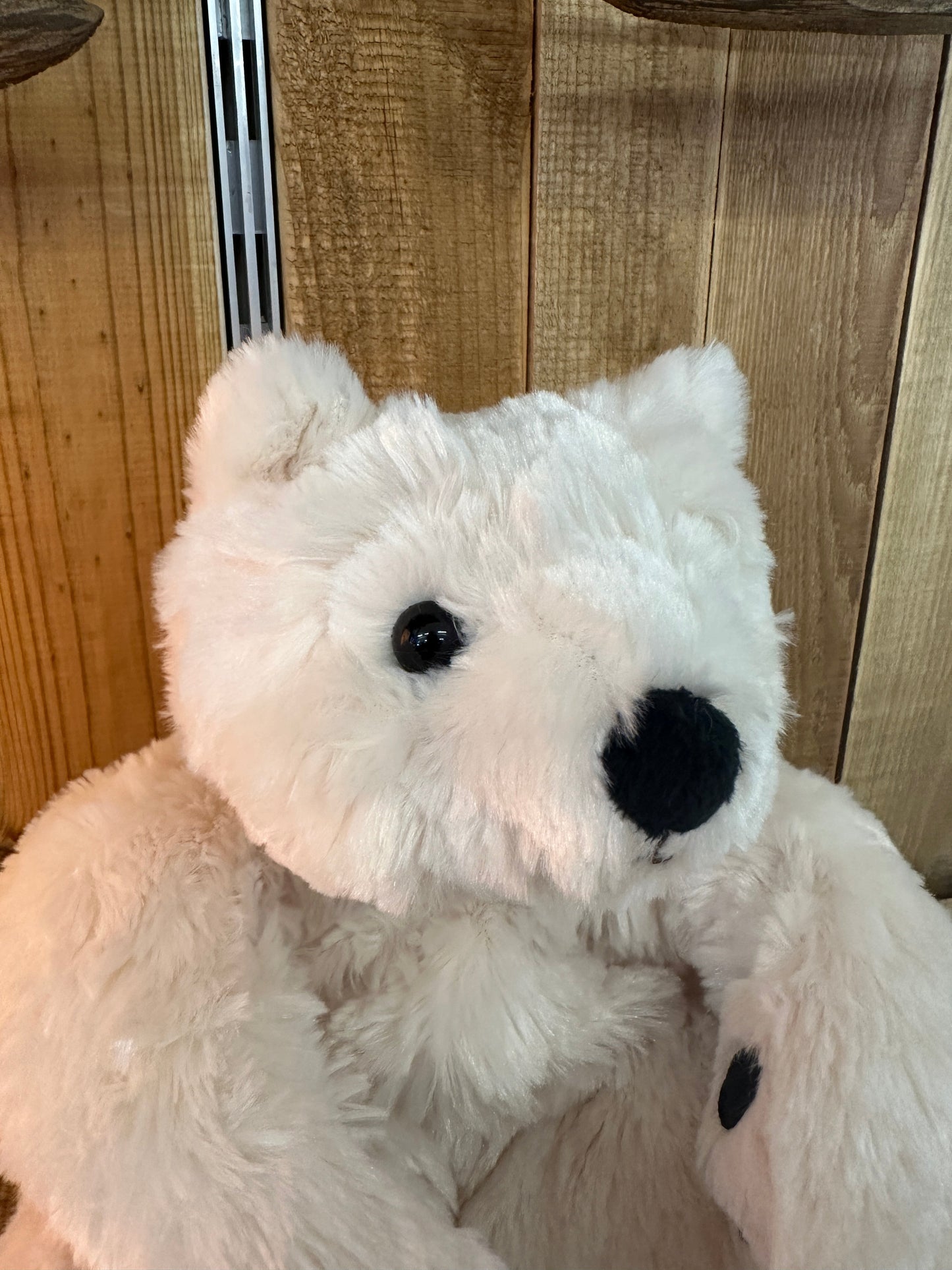 Antonio L'ours Polaire