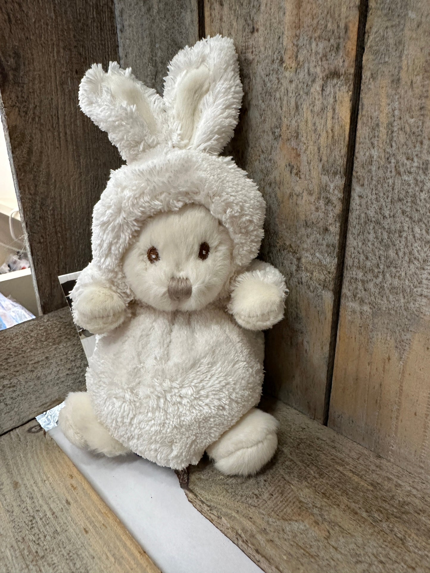 Ours Ziggy Lapin