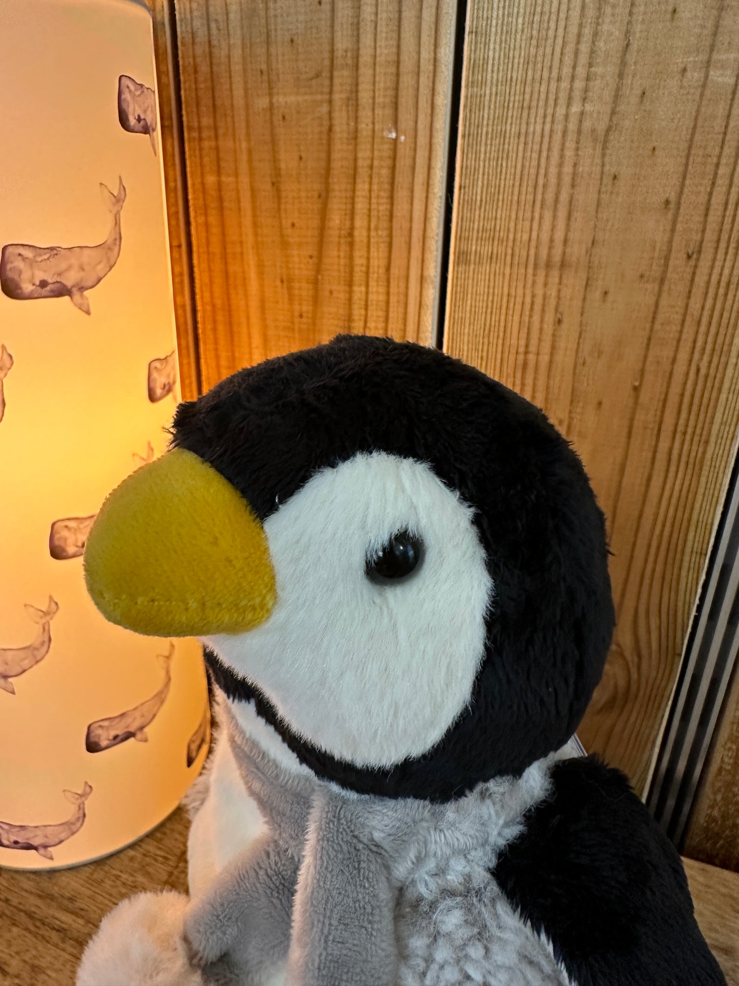 Julius le beau pingouin