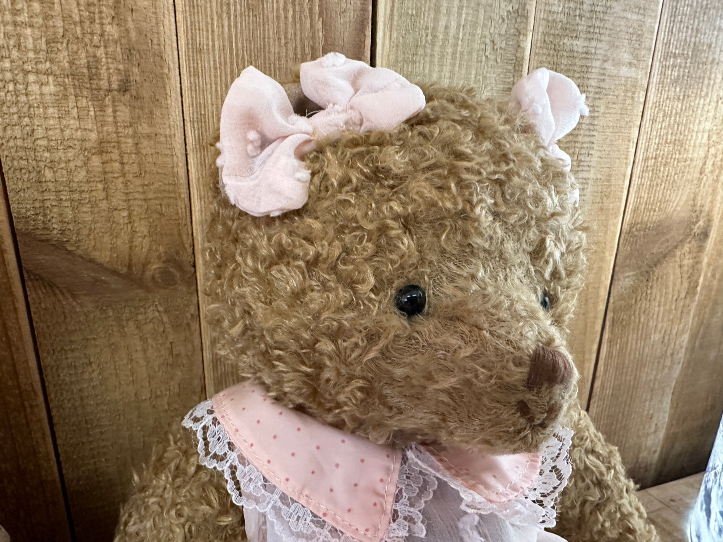 Alice et Eva, Ours Vintage